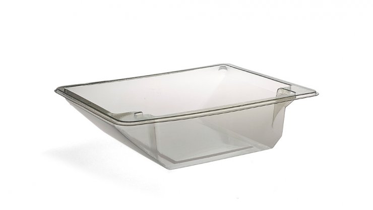Rectangular Salad Tray with Fork