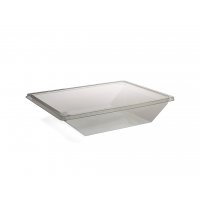 Rectangular Salad Tray with Fork